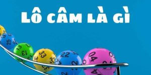 Lô Câm - Tìm Hiểu Khái Niệm Và Các Hình Thức Thường Gặp